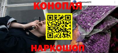 ГАЛЛЮЦИНОГЕННЫЕ ГРИБЫ Волжск