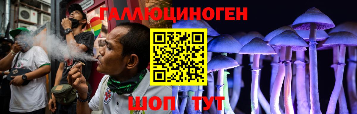 Раменское  Псилоцибиновые грибы мицелий  Вход с VPN 