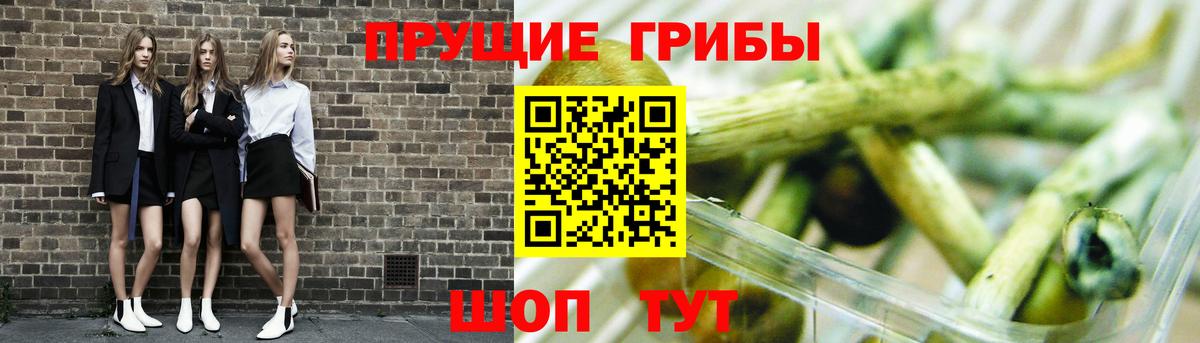 Псилоцибиновые грибы Psilocybe Раменское
